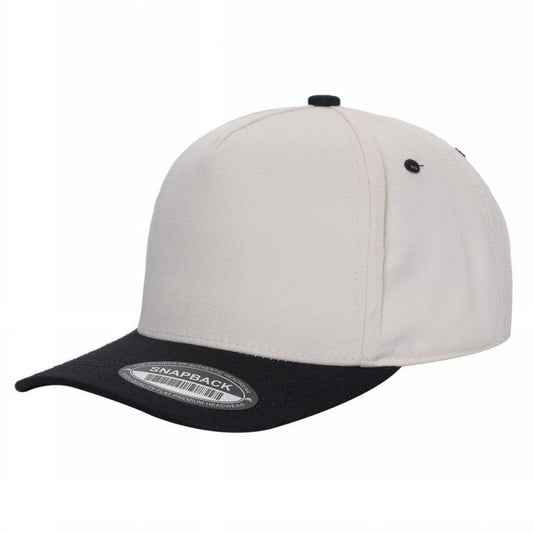 Snapback 2 Tone