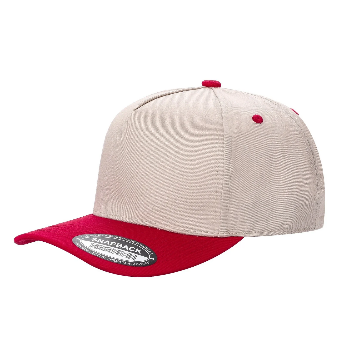 Snapback 2 Tone